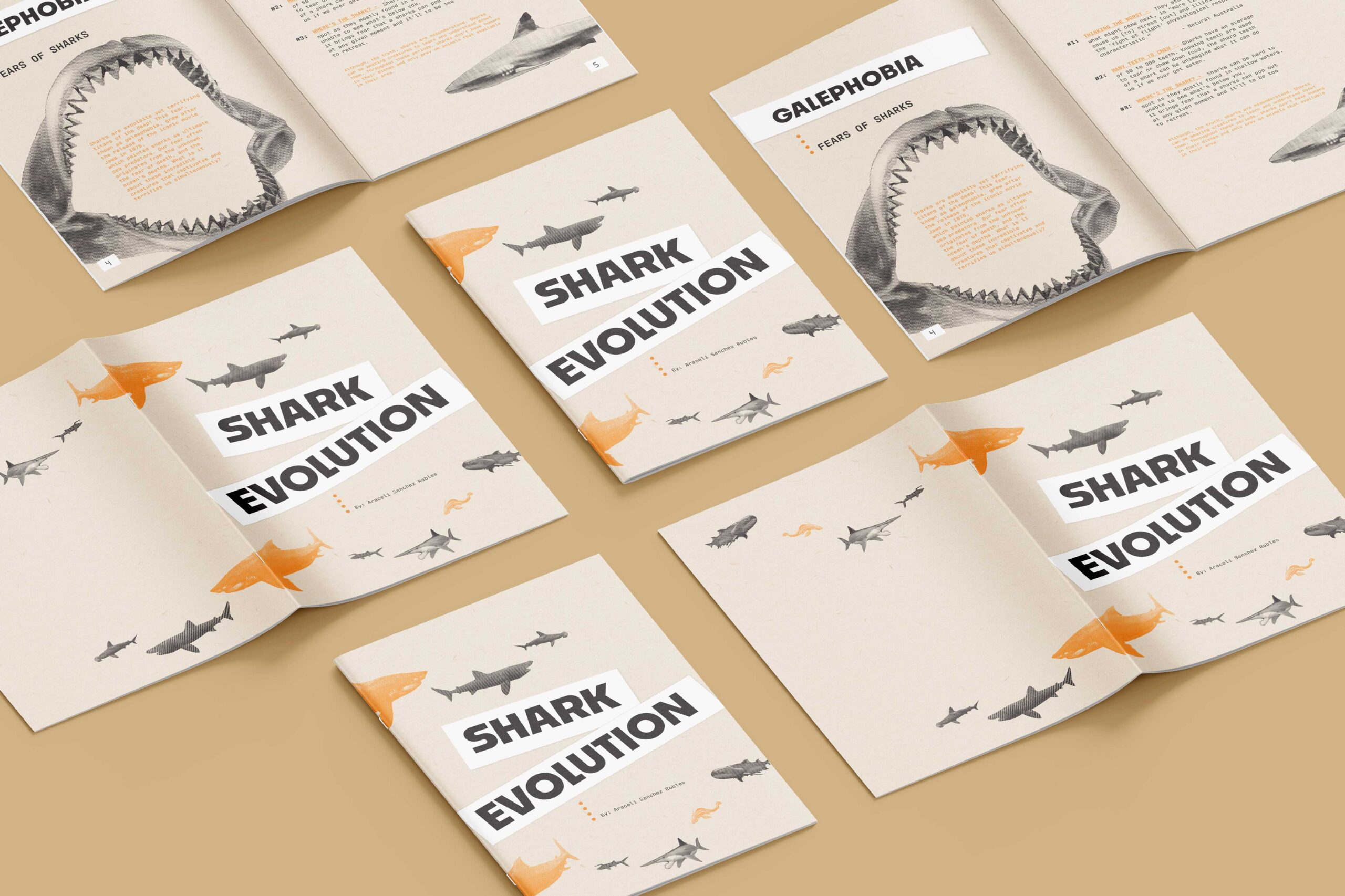 Shark Evolution Zine cover and pages mock up