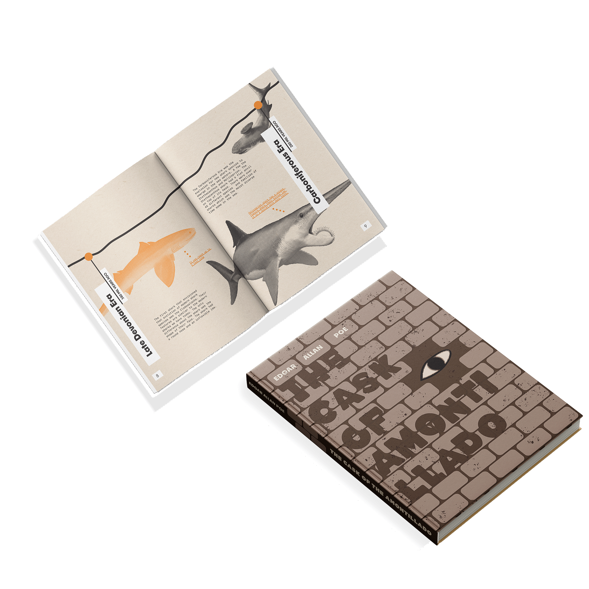 mock ups for zine and book cover