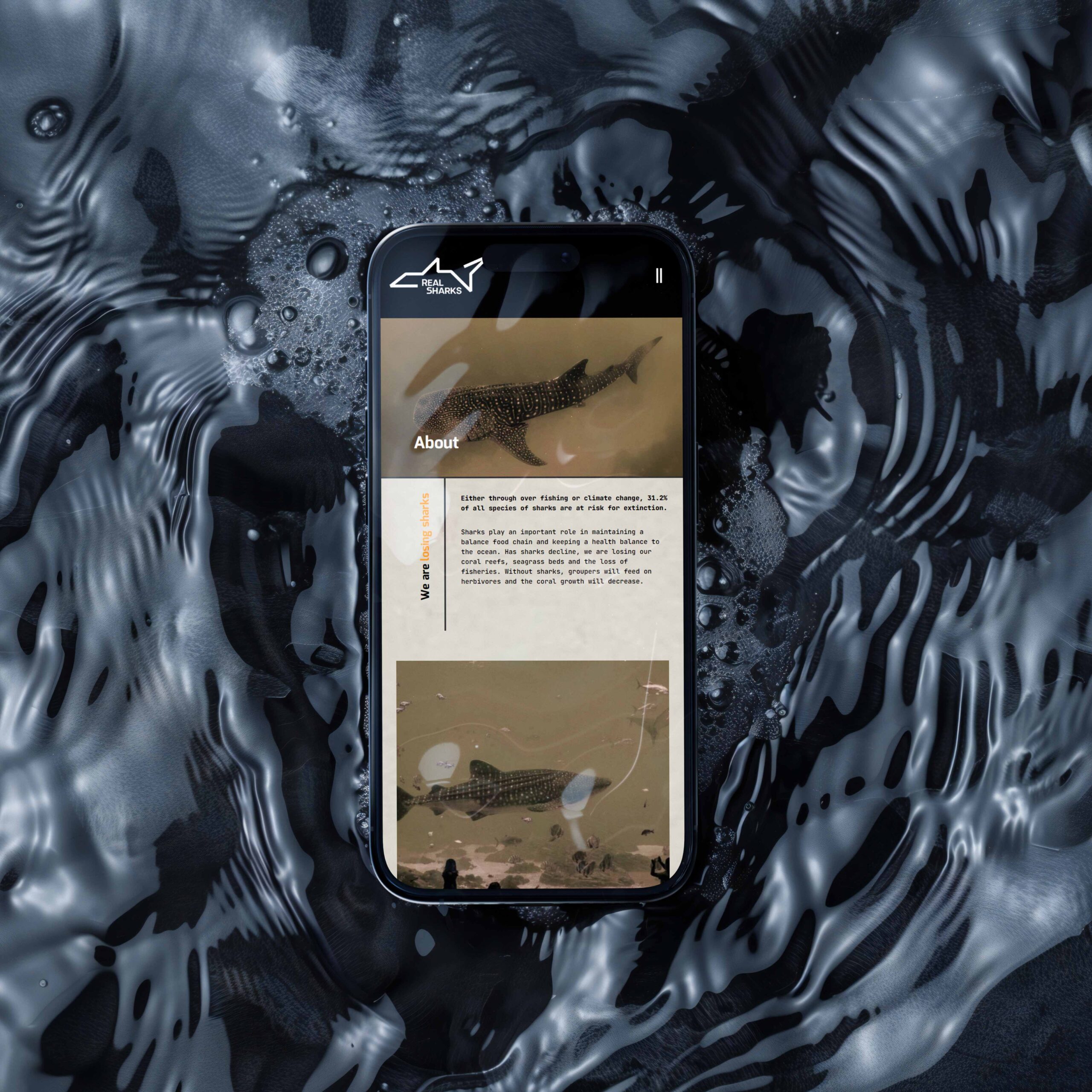 Real Sharks website mobile mock up