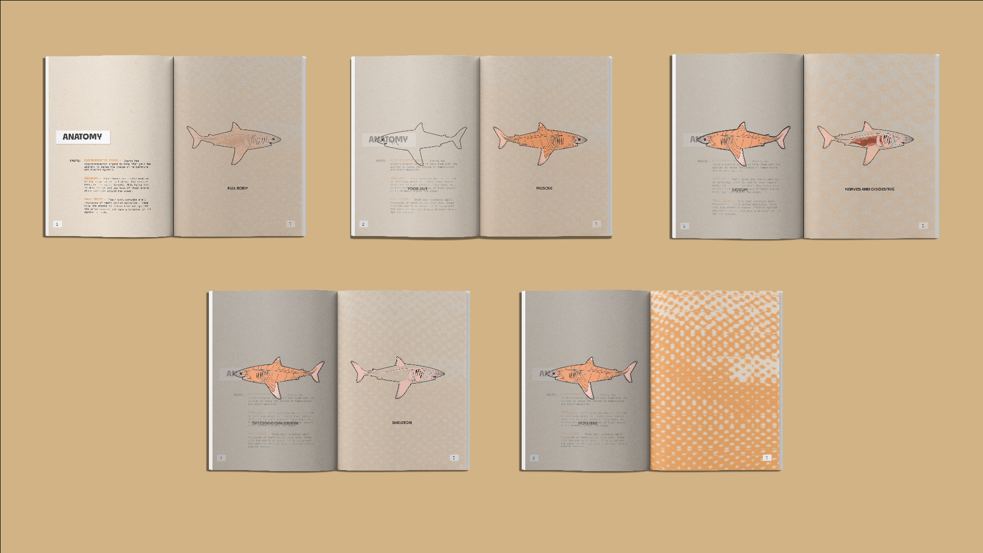 Shark Evoution Zine inside pages set 1 mock up