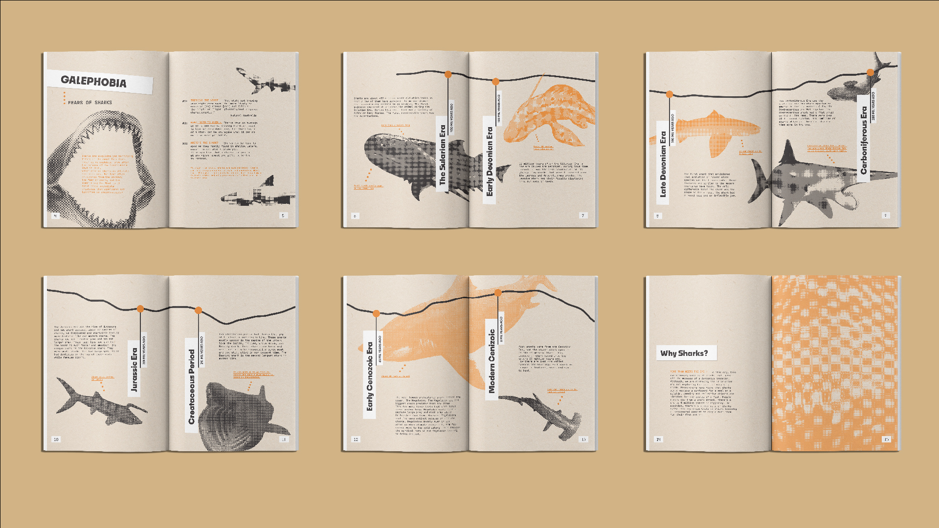 Shark Evolution Zine inside pages mock up set 2