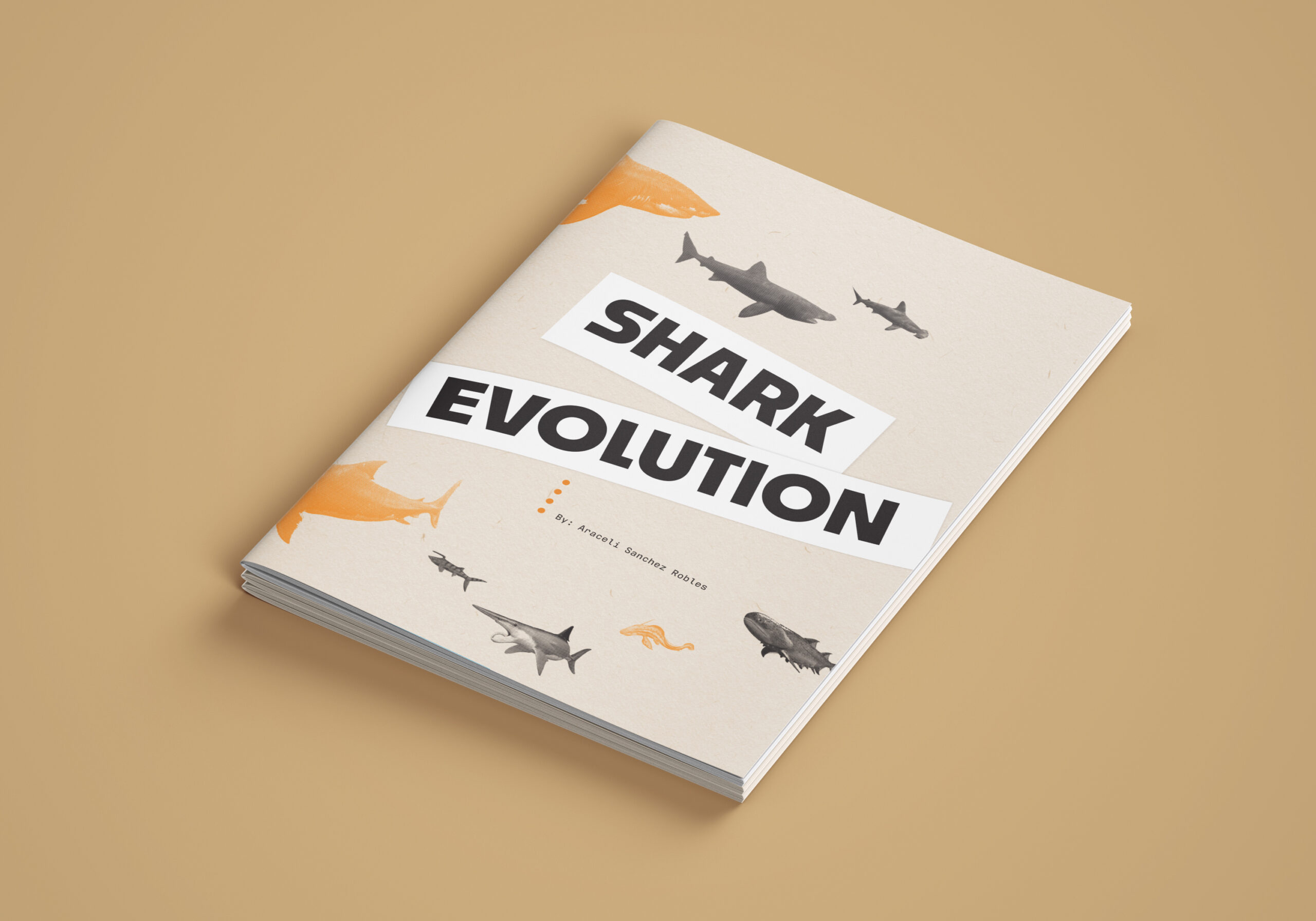 shark evolution zine cover mock up