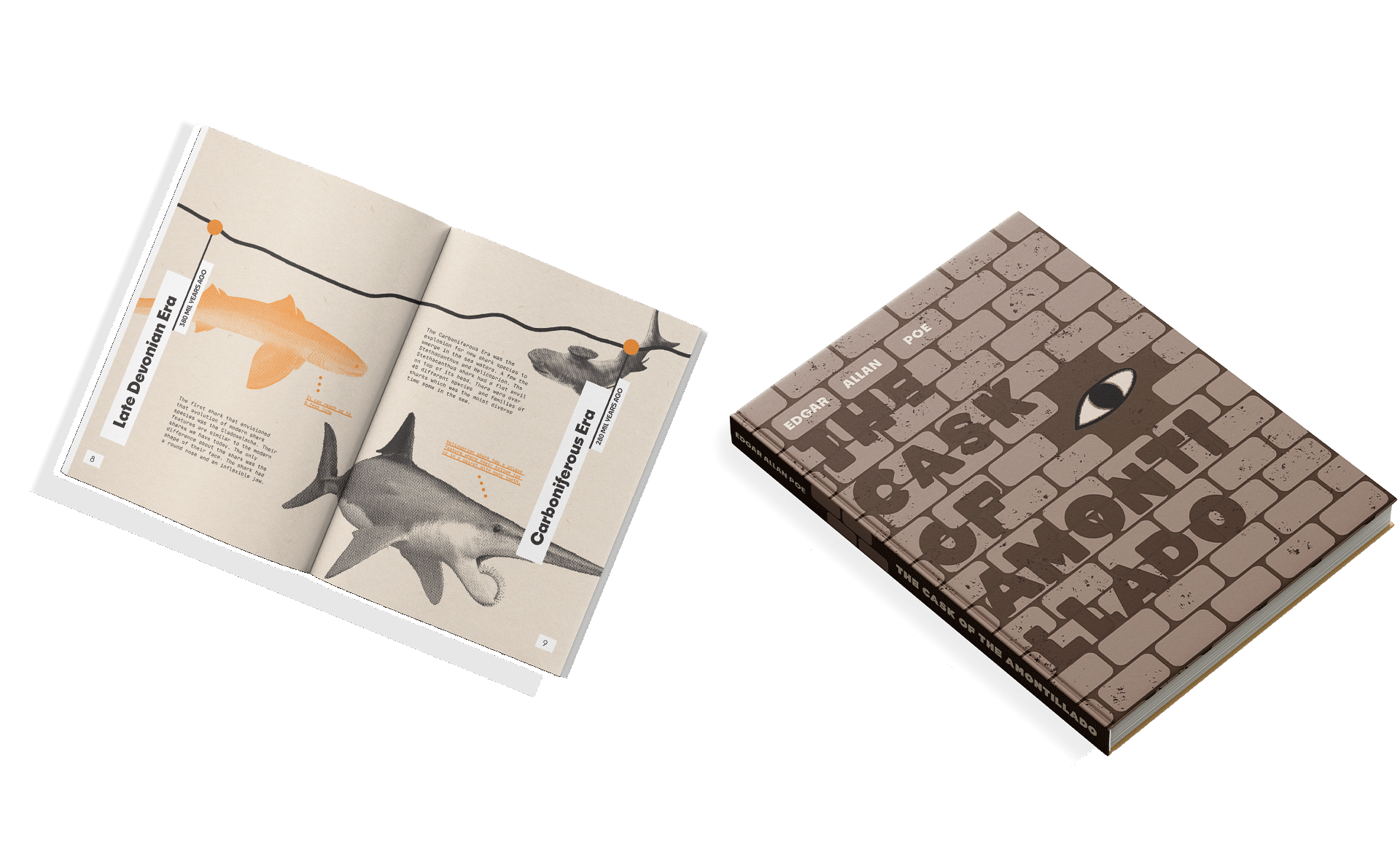 mock ups of zine and book cover